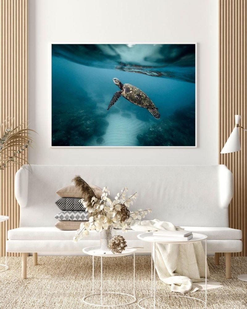 Sea turtle Swimming Ocean Poster Print