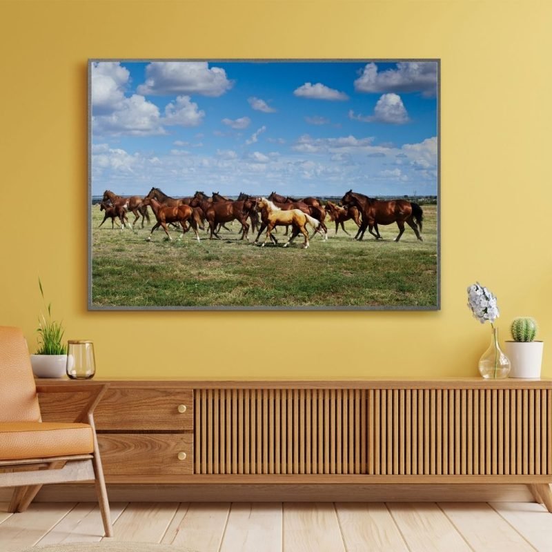 Wild horses Running on a Field Print canvas