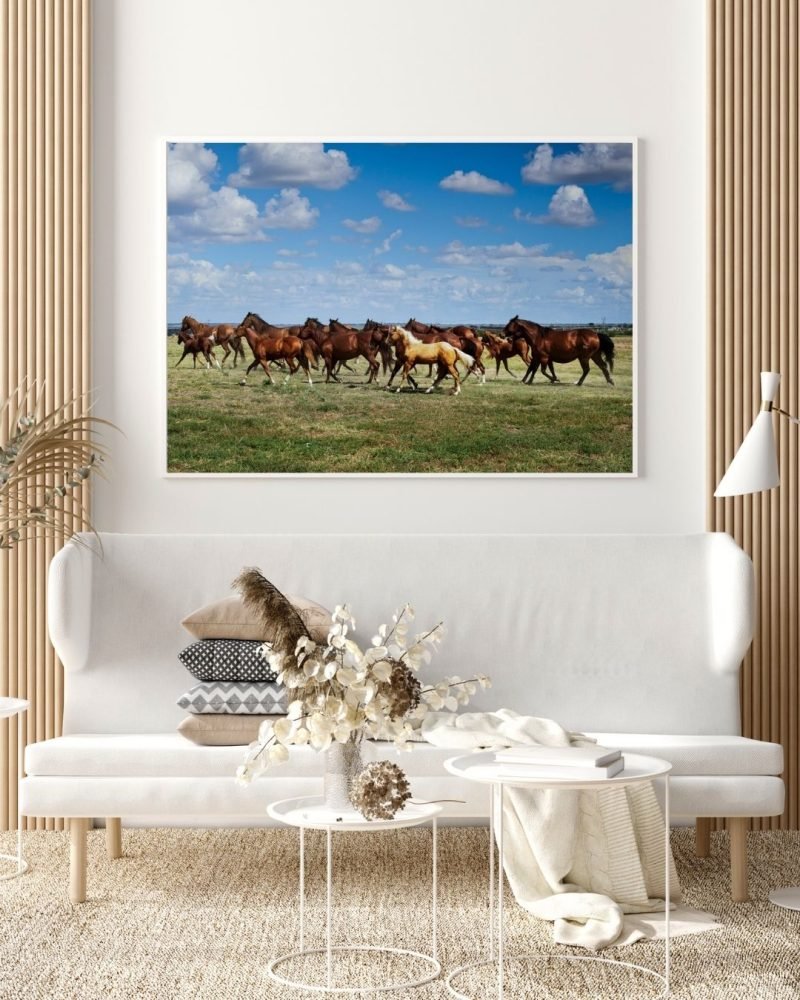 Wild horses Running on a Field Print poster