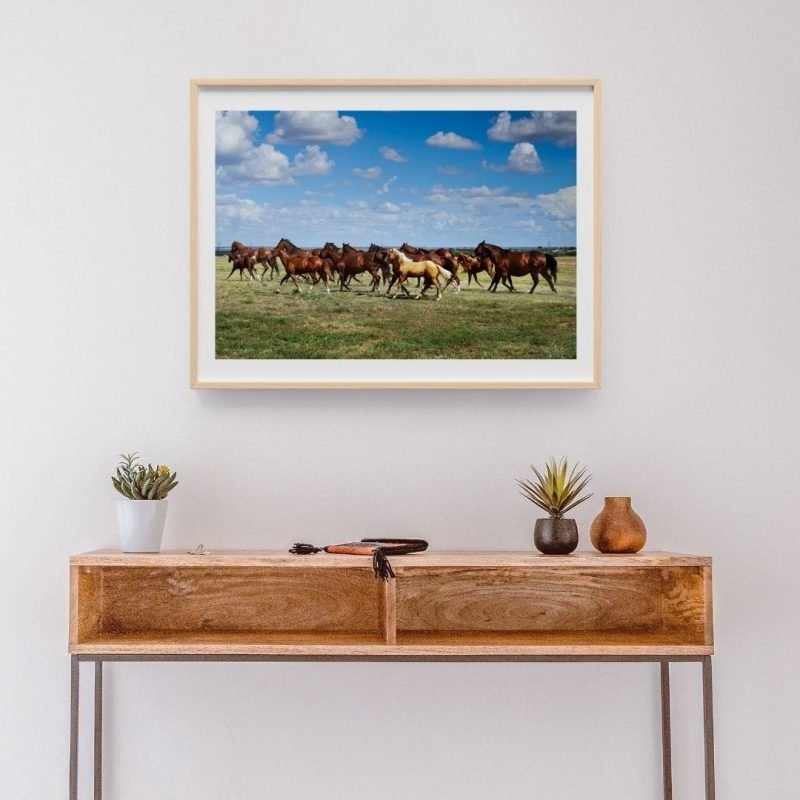 Wild horses Running on a Field Print wall art