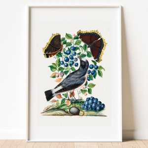 Bird Butterflies and Bilberry Botanical Art Print