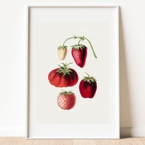 Botanical Strawberries Art Print