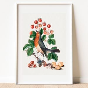 European Robin and Wild Strawberry Botanical and Bird Prints