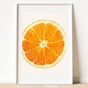 Half Orange Fruit Poster