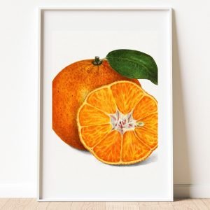 Orange Tangerine Fruit Poster