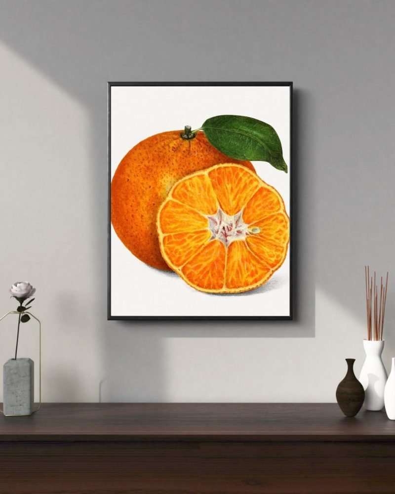 Orange Tangerine Fruit Poster print