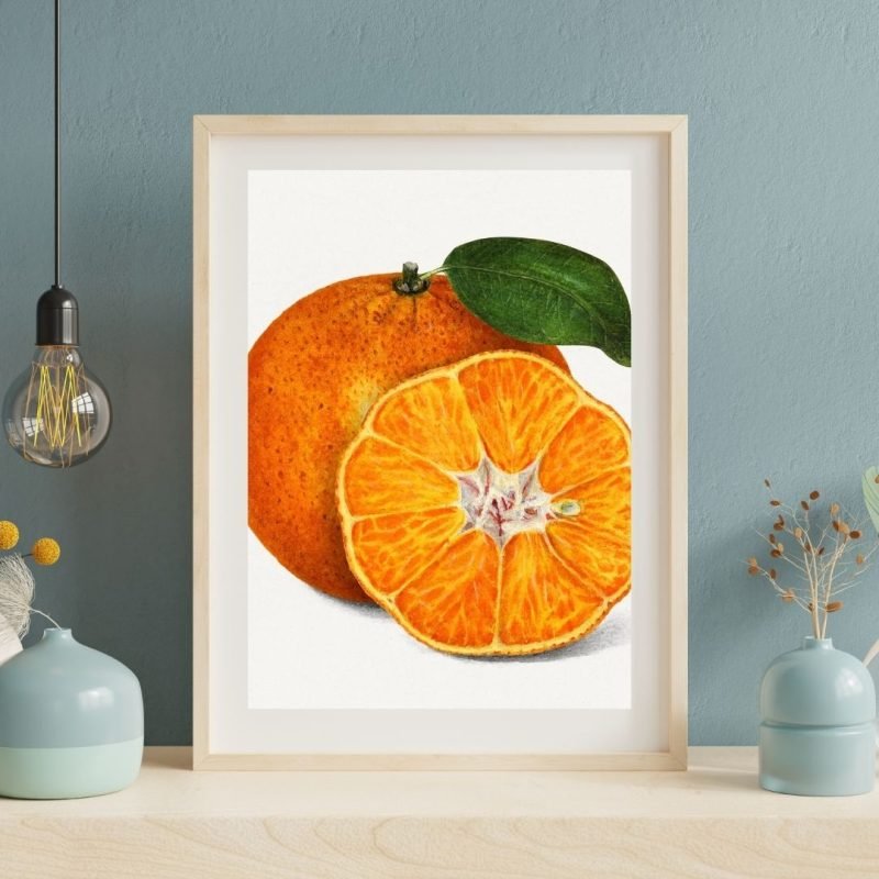 Orange Tangerine Fruit Poster wall art
