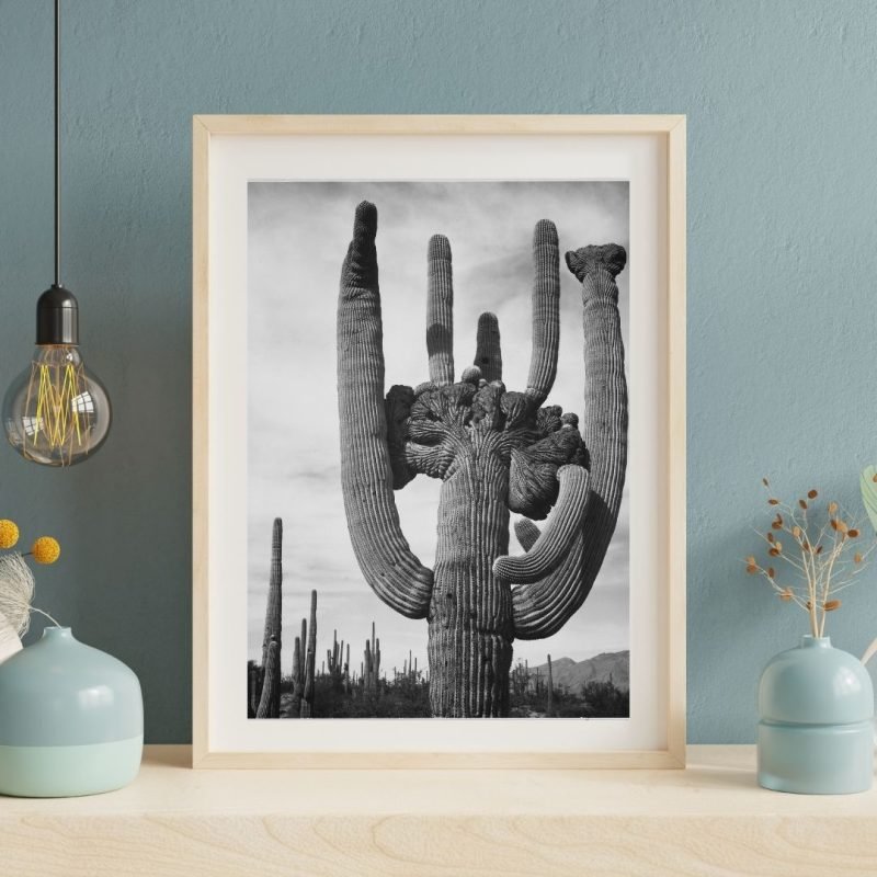 Saguaro Cactus poster Print