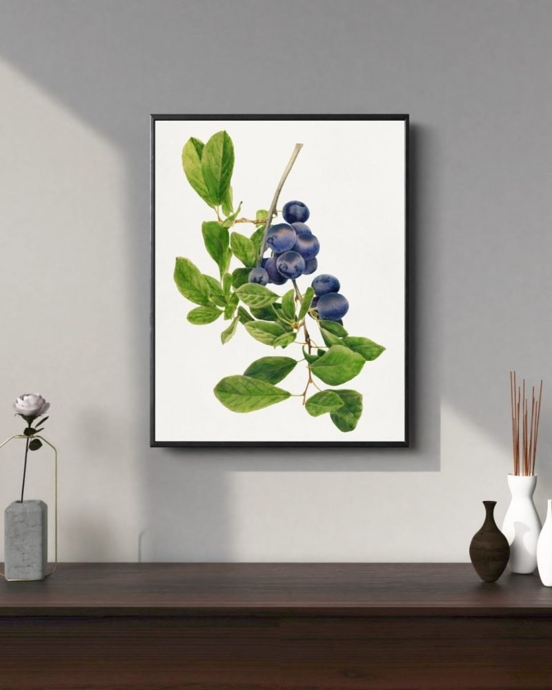 Vintage Branch of Plums Botanical canvas Print