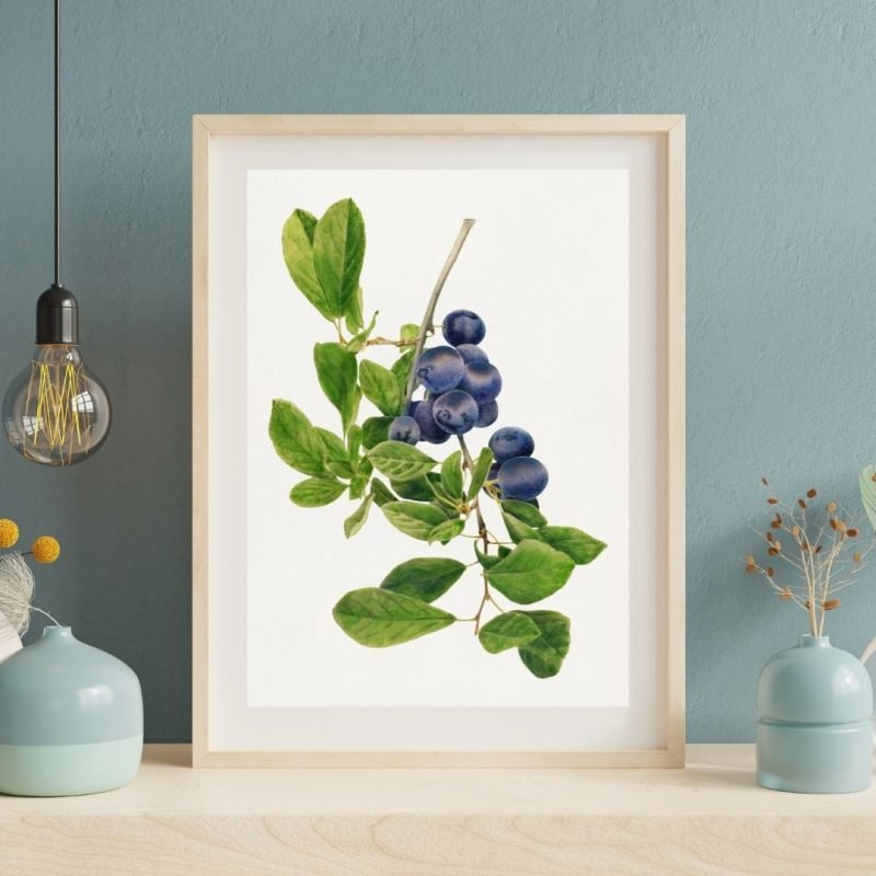 Vintage Branch of Plums Botanical framed Print