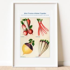 Vintage Garden Vegetable Art Print