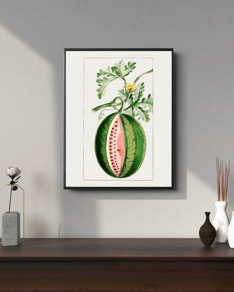 Vintage Watermelon Fruit Botanical canvas Print
