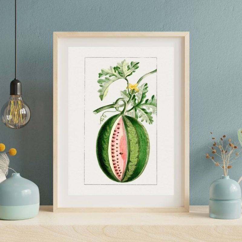 Vintage Watermelon Fruit Botanical framed Print