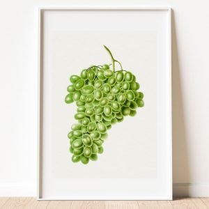White Grapes wall Art Print
