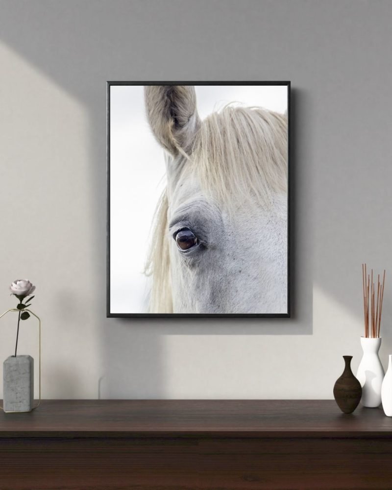 White Horse Face Close Up canvas Print