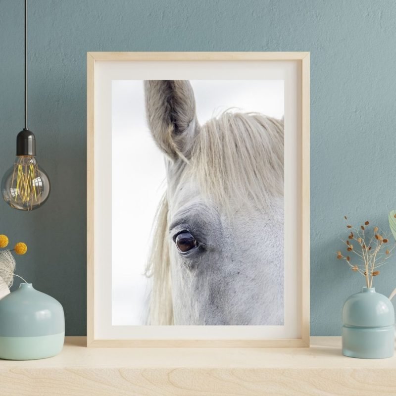 White Horse Face Close Up poster Print