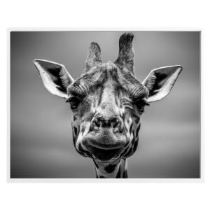 Black and White Giraffe Horizontal Print