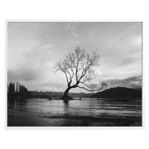 Black and White Wanaka Tree Print in New Zealand
