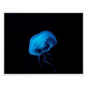 Blue Light from Jelly Fish Under Deep Ocean Print
