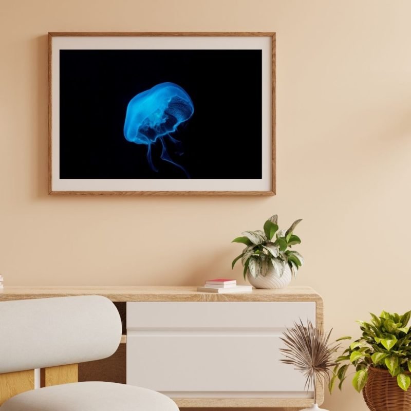 Blue Light from Jelly Fish Under Deep Ocean poster
