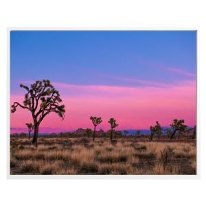 Joshua Trees at Sunset print