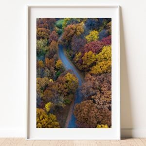 Road Near Autumn Colored Trees wall art Print