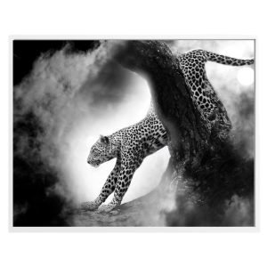 Smoky Black White Leopard Print