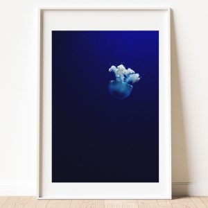 Underwater Jellyfish Print