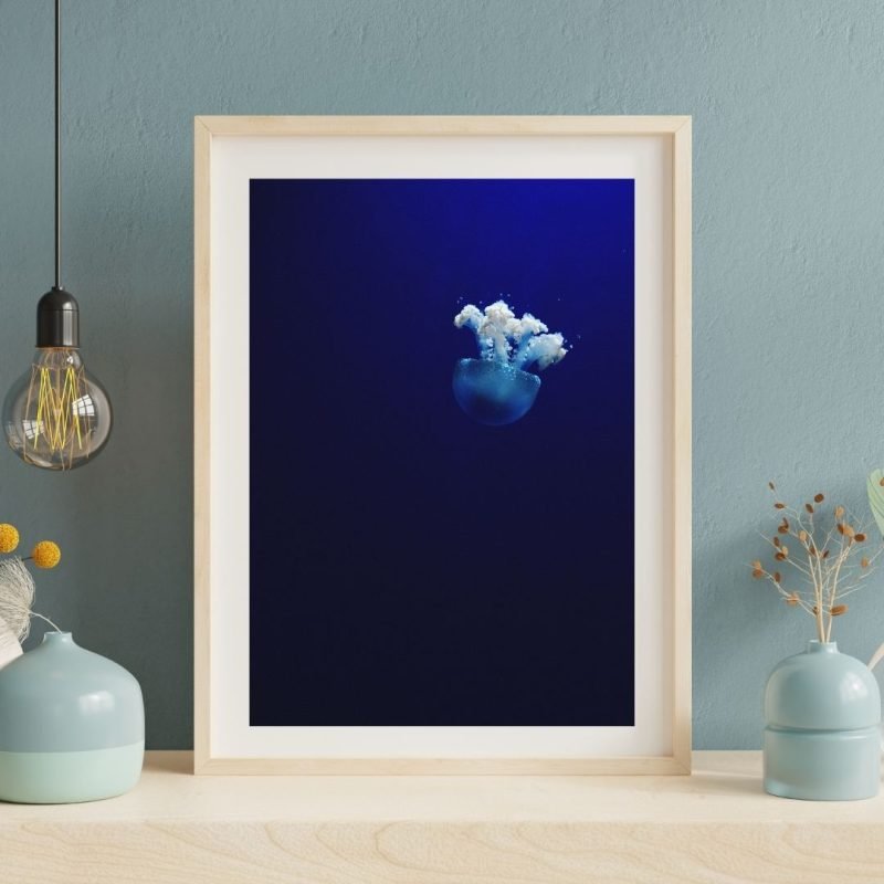 Underwater Jellyfish framed poster Print
