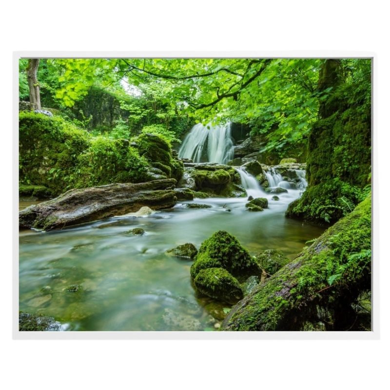 Waterfall in the Forest print